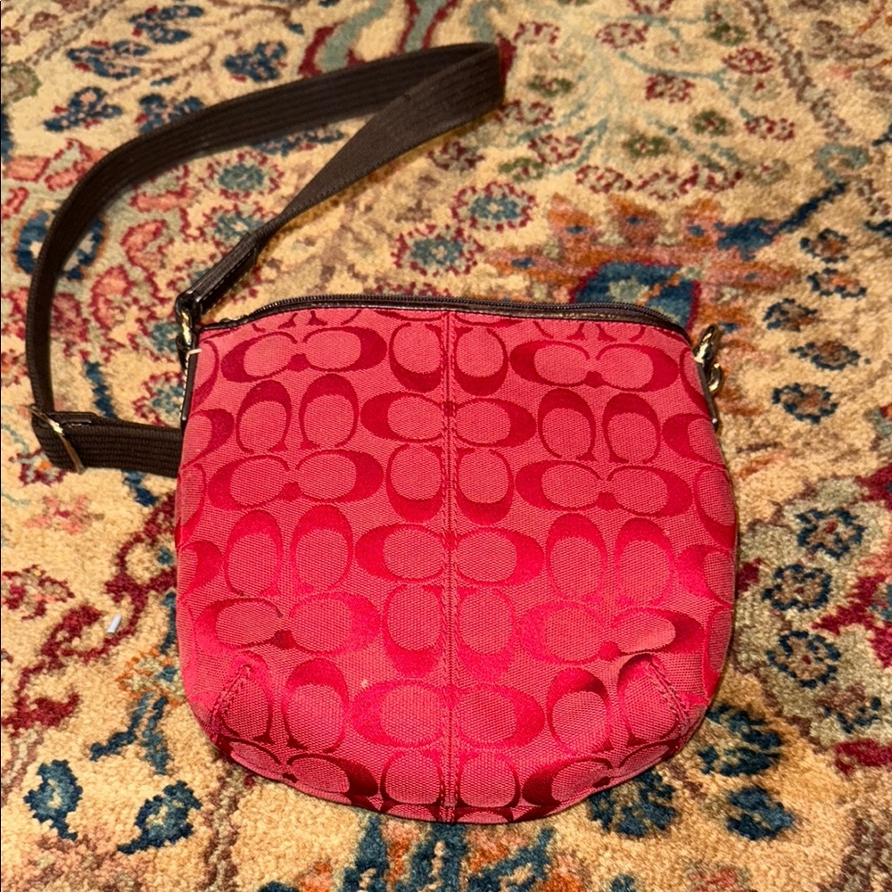 Coach Ruffled Crossbody Bag